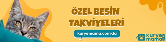 Proplan Yavru Kedi ve Köpek Mamasını Kampanyalı İndirimli Fiyatlar Sizi Bekliyor