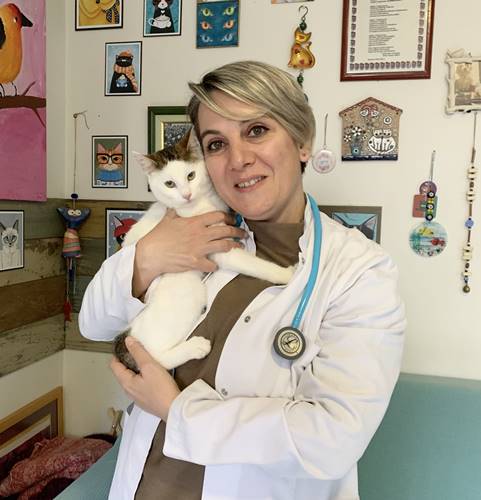 Evcil hayvanınızın kan grubunu biliyor musunuz?