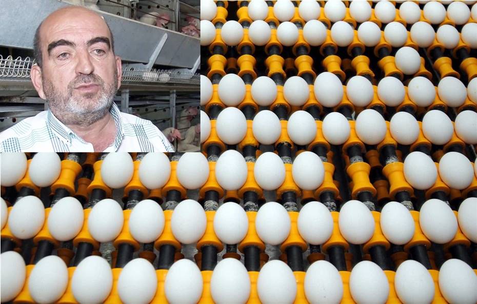 Yumurtada fiyat bilmecesi