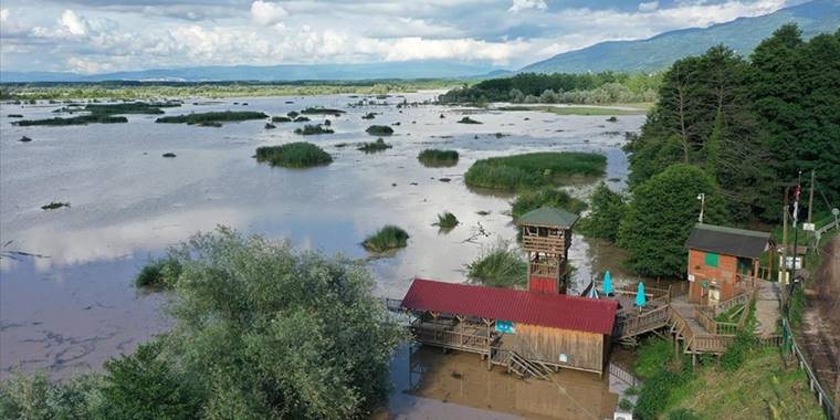 'İstanbul'un içme suyu havzası'nda son yağışlarla su seviyesi arttı