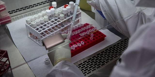 DSÖ: Avrupa'da son 2 haftada maymun çiçeği vakaları üçe katlandı