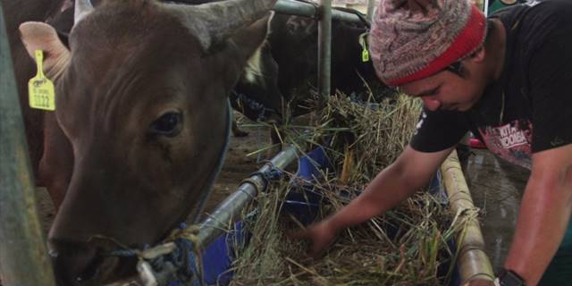 Bakanlık 'Sorunsuz Kurban Bayram'ı için çalışıyor