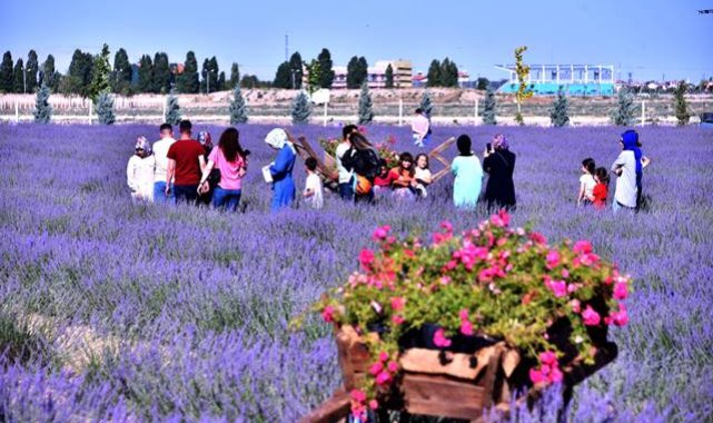 Karatay lavanta bahçesi kapılarını vatandaşlara açtı