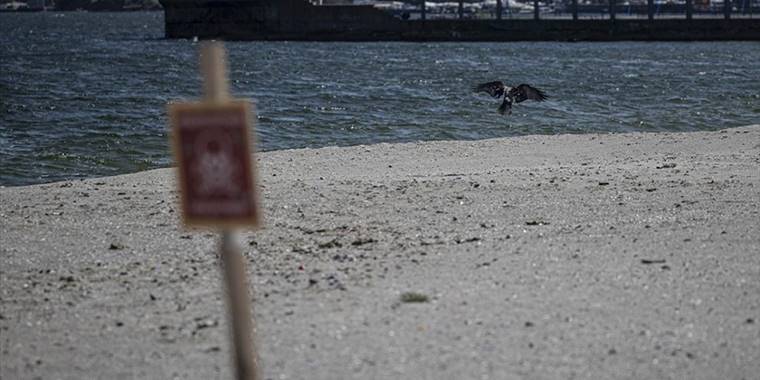 Ukrayna'nın Odessa kentinde mayın tehlikesi nedeniyle denize girilmiyor