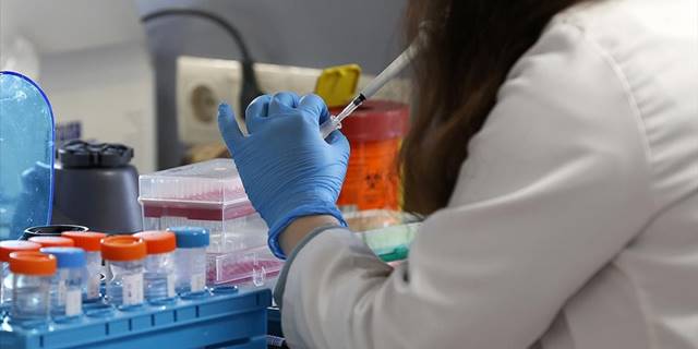 DSÖ'ye göre dünya genelinde maymun çiçeğinden 3 kişi öldü