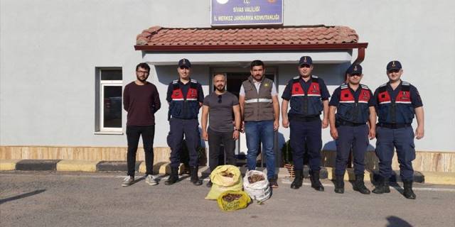 Sivas'ta salep soğanı toplayan 9 kişiye 986 bin 337 lira ceza
