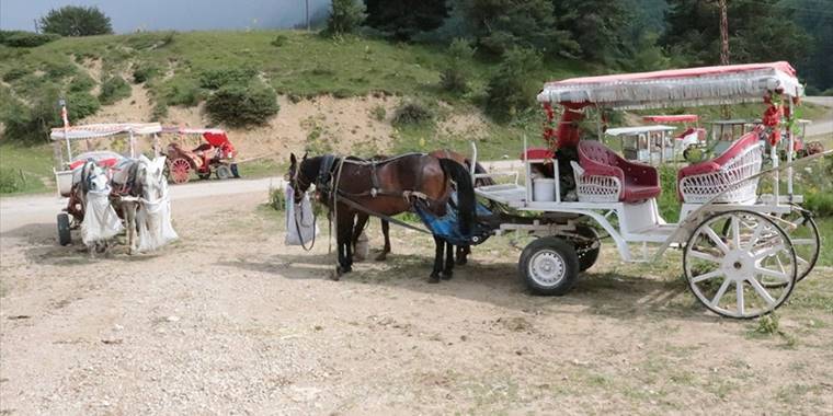 Abant Milli Parkı'nda at ve faytonla yapılan gezi faaliyetleri sonlandırıldı