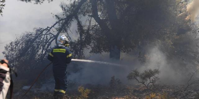 Yunanistan'da orman yangınları devam ediyor
