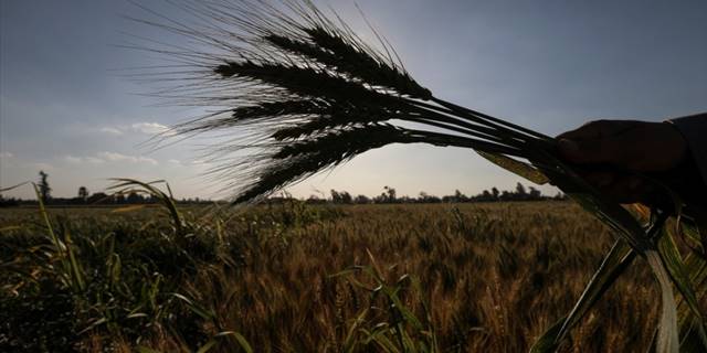 Bu yıl tarım sezonunun 9 ayında yağışlar yüzde 28 arttı