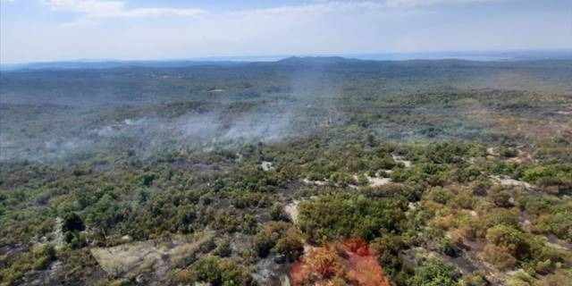 Slovenya'da çıkan orman yangınında 1000 hektarlık alan yok oldu