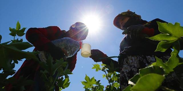 Güneydoğu kavurucu sıcaklarla mücadele ediyor