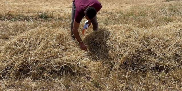Hüyük'te biçerdöver kontrolleri sürüyor