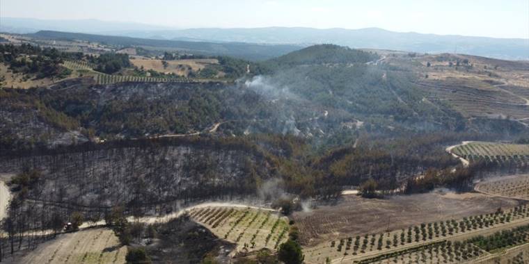 Manisa'da 185 hektar alanın zarar gördüğü yangına ilişkin 2 kişi tutuklandı