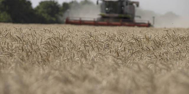 Gıda krizinin çözümünde Türkiye’nin diplomasi zaferi