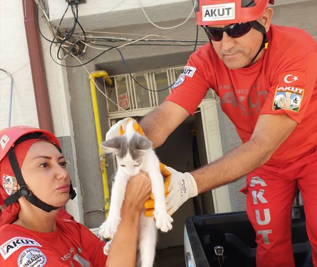 Eskişehir'de pencere pervazında mahsur kalan kedi kurtarıldı