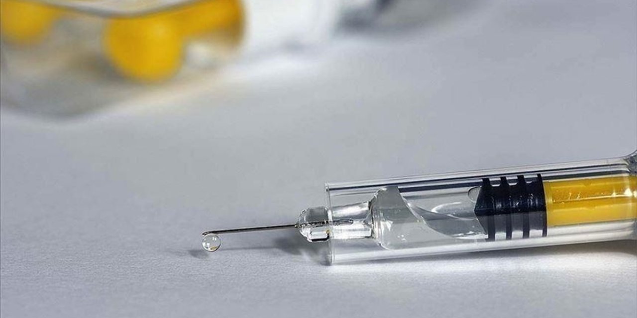 AB, Danimarkalı şirket Bavarian Nordic'in maymun çiçeği aşısını onayladı