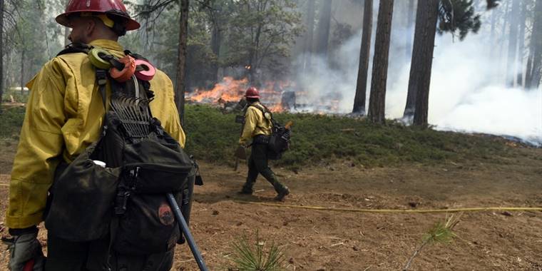 California'da süren orman yangınlarında 6 bin 300 hektar alan zarar gördü