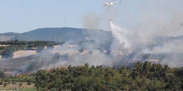 Çanakkale'de çıkan orman yangınına müdahale ediliyor