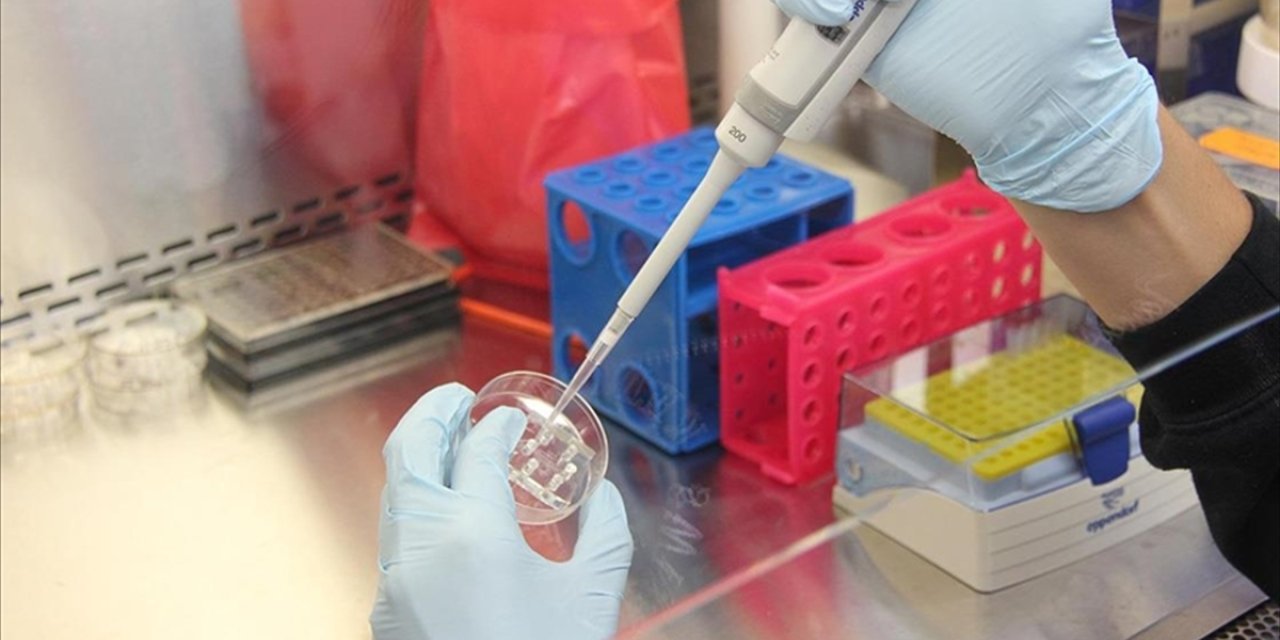 Sağlık Bakanlığı "maymun çiçeği" rehberi hazırladı