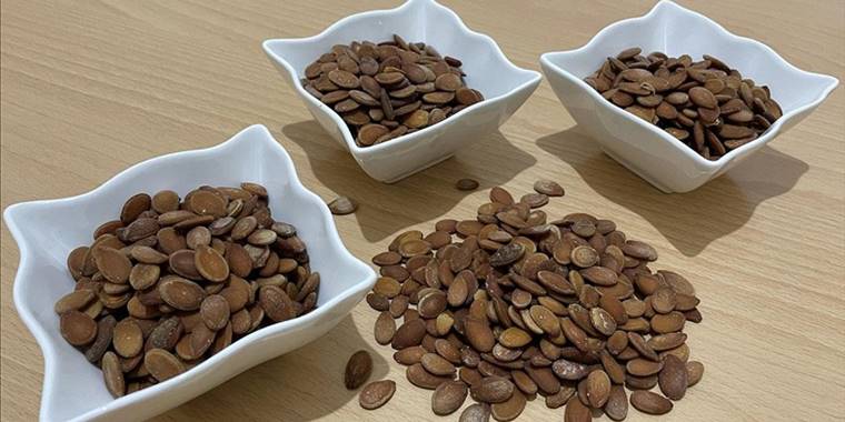 Batman'da karpuz çekirdeği sohbetlere keyif katıyor