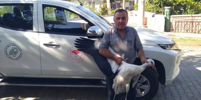 Beyşehir'de bulunan yaralı leylek tedavi ediliyor