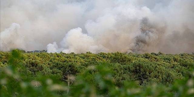Fransa'da bu yılki yangınlarda 47 bin hektardan fazla yeşil alan zarar gördü