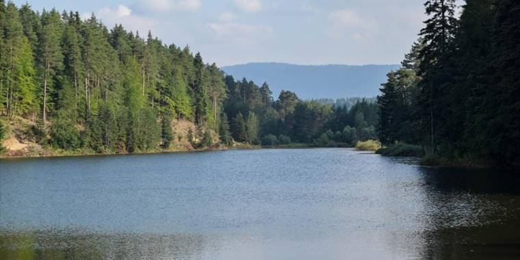 Bilecik'teki Bozcaarmut Göleti doğaseverlerce ziyaret ediliyor
