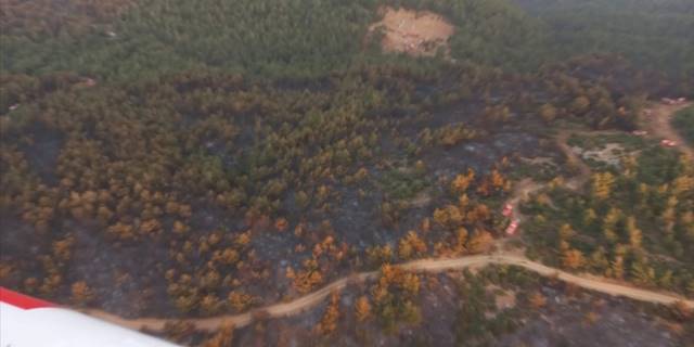 Manisa'daki orman yangınına müdahale sürdü