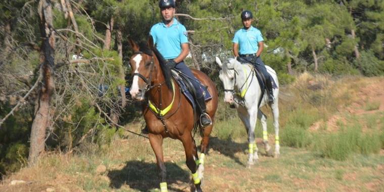 Ayvalık'ın orman ve plajları jandarmanın atlı timine emanet