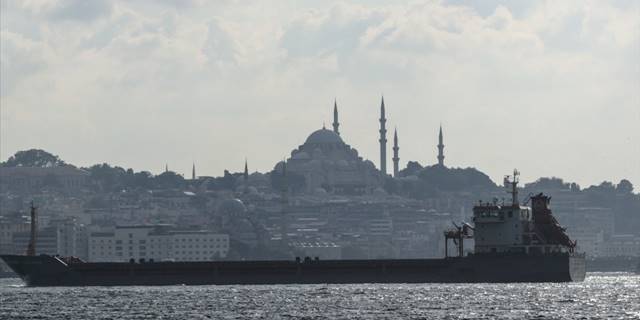 İsviçre'den Türkiye'nin koordinasyonuyla Ukrayna'dan tahıl sevk edilmesine destek