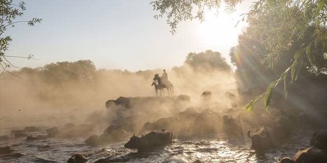 Mandalar ağustos sıcağında gölde serinliyor