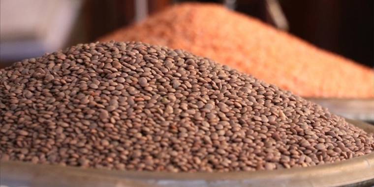 Hububat ve bakliyat ihracatında artış serisi sürüyor