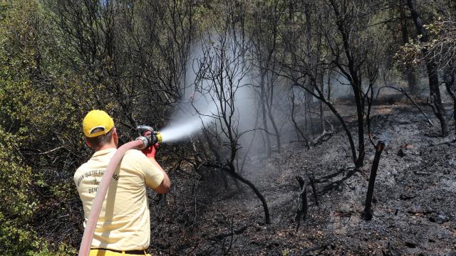 Eskişehir'de ormanlık alanda çıkan yangın söndürüldü