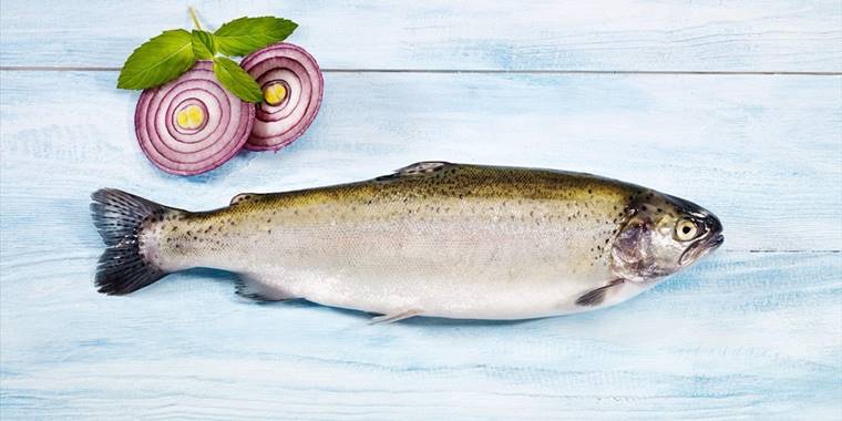 Türk somonu ihracatı 46,5 milyon dolara yaklaştı