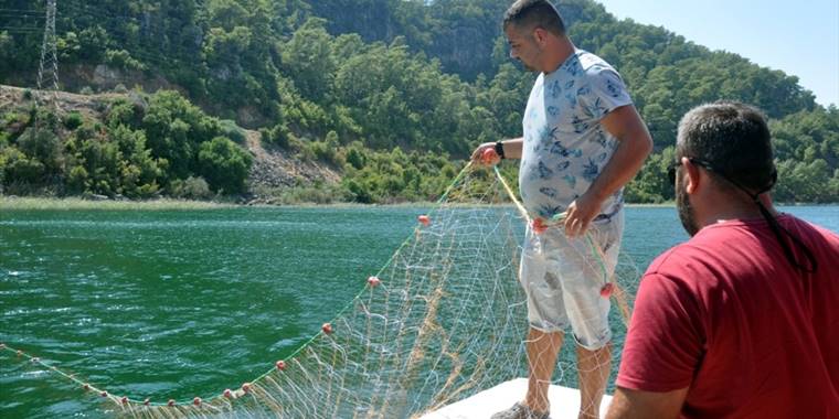 Deniz kaplumbağalarının balıkçılık faaliyetlerinden etkilenmemesi sağlanacak