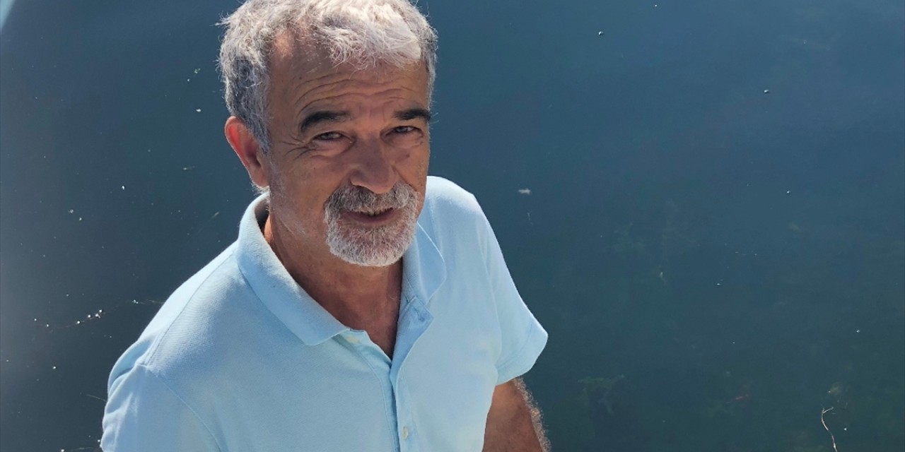 Kesici'den yarım asırlık ağacın kesilmesine tepki