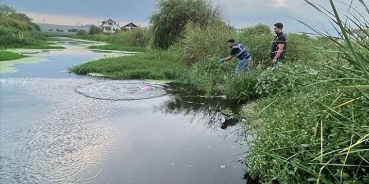 Çevre, Şehircilik ve İklim Değişikliği Bakanlığından Kınıklı Deresi'ndeki atık suyla ilgili inceleme
