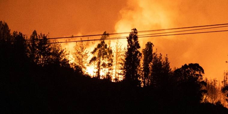 İngiltere'de bu yıl geçen yıldan 500 fazla orman yangını çıktı