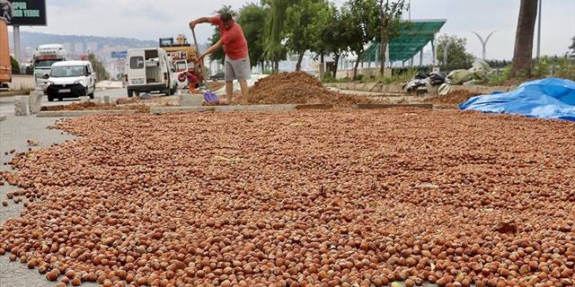 Trabzonlu üreticilerin fındık kurutma mesaisi