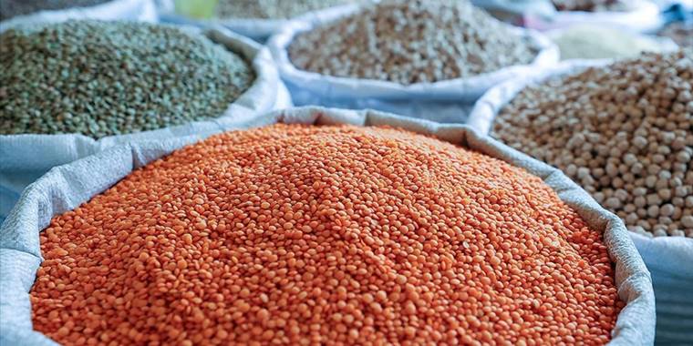 TMO kabuklu kırmızı mercimek alım fiyatını güncelledi
