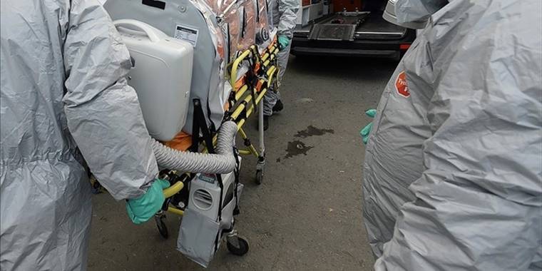 Endonezya'da maymun çiçeği vakası görüldü