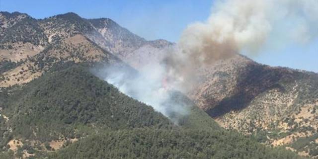 Kahramanmaraş'ta çıkan orman yangınına müdahale ediliyor