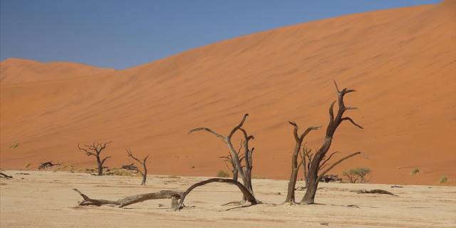 Afrika kıtanın kaderini etkileyen iklim krizini görüşüyor