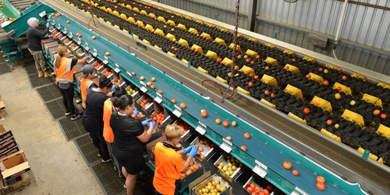 Avustralya iş gücü açığını hafifletmek için kalıcı göçmenlik kotasını 195 bine yükseltti