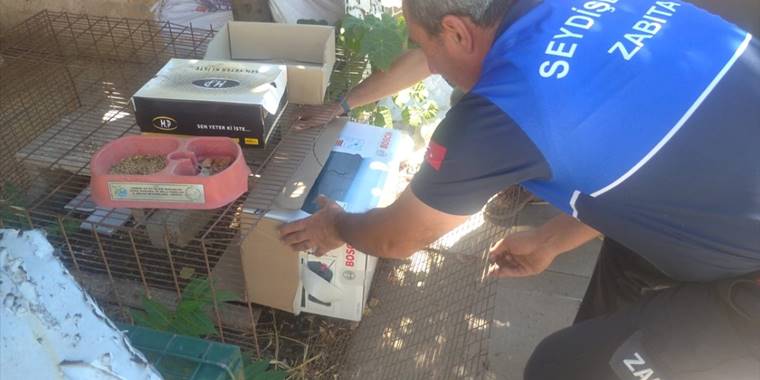 Kanadı kırık atmacaya güvenlik güçleri sahip çıktı