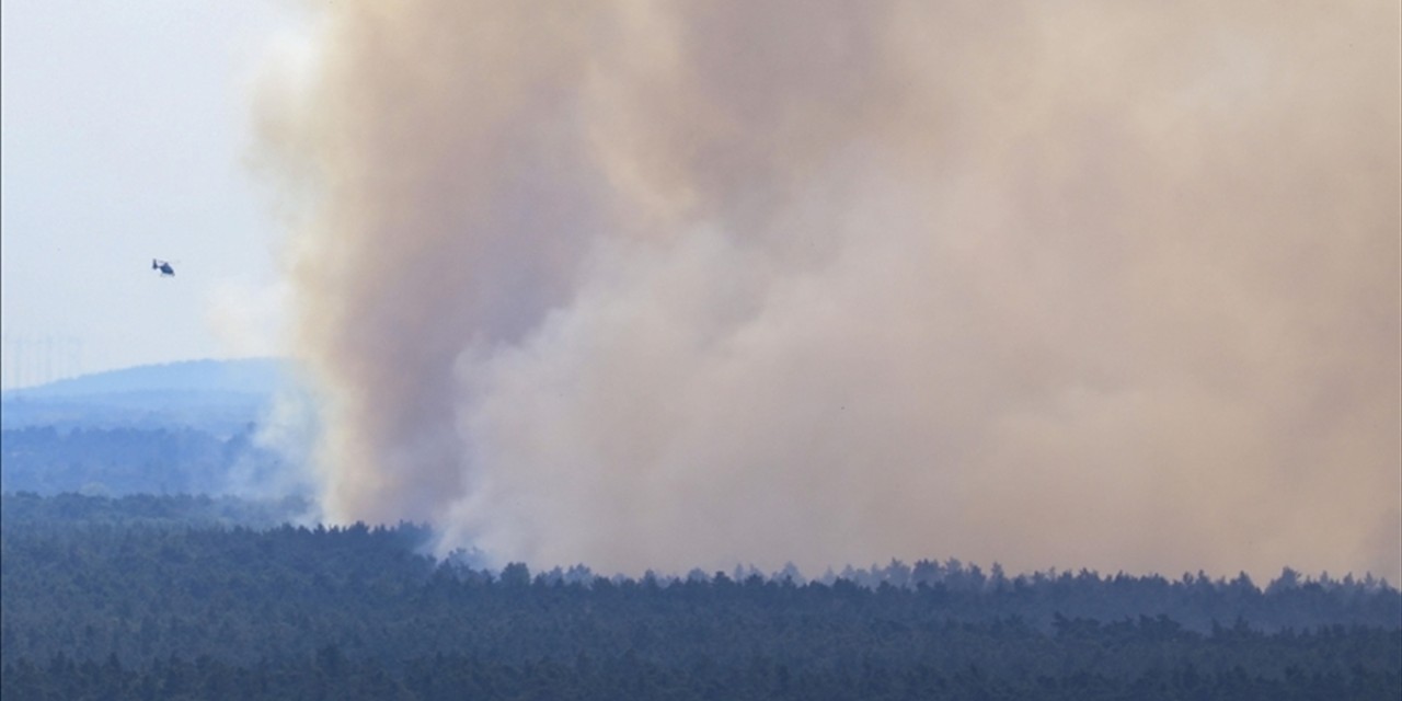 Almanya’da Harz Dağları'nda çıkan orman yangını nedeniyle acil durum ilan edildi