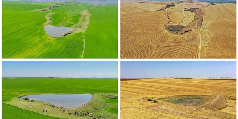 Diyarbakır'da kuraklıktan etkilenen onlarca gölet kurudu