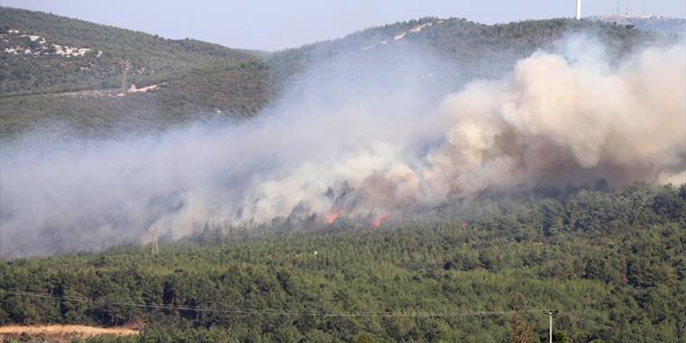 Manisa Soma'daki orman yangını kontrol altına alındı