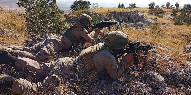 Şırnak'ta 2 terörist etkisiz hale getirildi