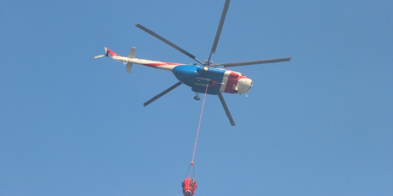 Alanya'da orman yangını çıktı